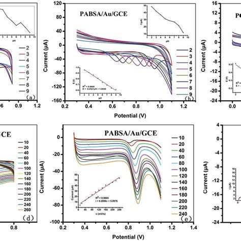 Cyclic Voltammograms Of A Asc On The Surface Of Pacbk Aunp Gce B