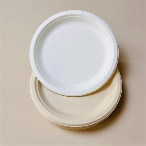 Sugarcane Bagasse Disposable 9 10 3 Compartment Plate China 3