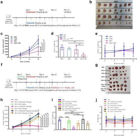 Histone Deacetylases Inhibitor Chidamide Synergizes With Humanized PD1