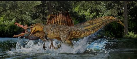 Carcharodontosaurus vs Spinosaurus 🔥 (art by Luis V. Rey) : r/Dinosaurs