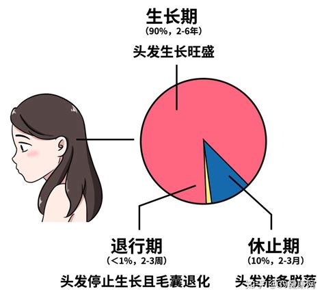 遗传性秃顶现在能治好么？ 知乎