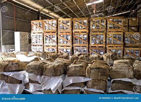 Rubber Bales In Warehouse Stock Photography Image 5602822