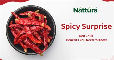 Spicy Surprise Red Chilli Benefits You Need To Know