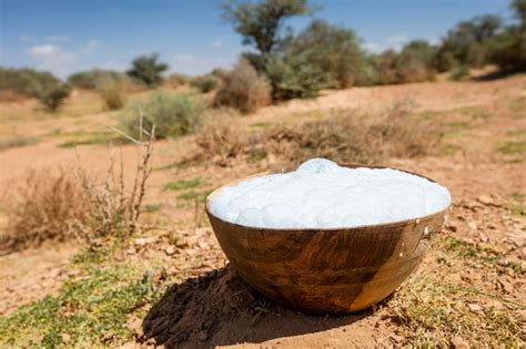 Premium Photo Camel Milk Shubat On A Natural Background Milk Farm