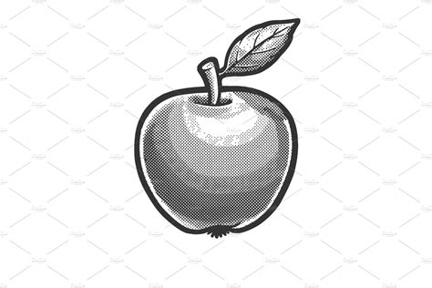 apple sketch vector illustration | Creative Market