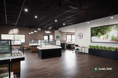 Ohio Cannabis Dispensary Laws: Navigating the Budding Industry | Leafy DOC