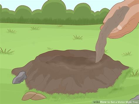 How to Set a Victor Mole Trap: 15 Steps (with Pictures) - wikiHow