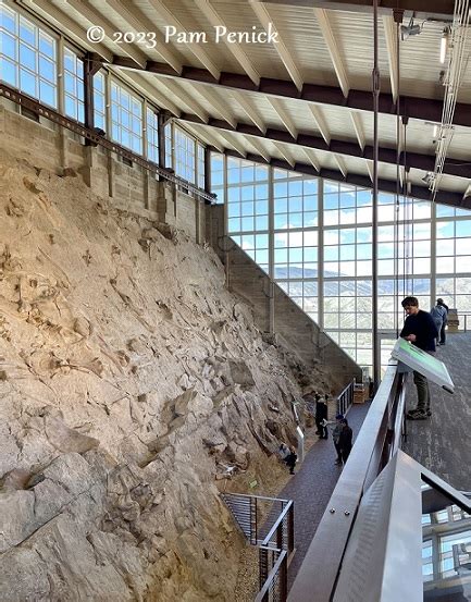 Wall of bones at Dinosaur National Monument - VEGRU, redefining raised ...