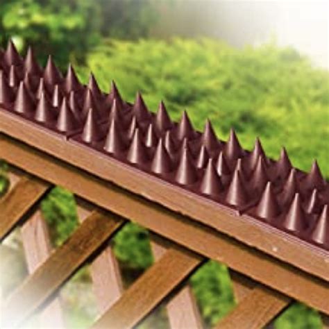 * Bird Deterrent Spikes - Buy Online & Save | Fast Free Delivery