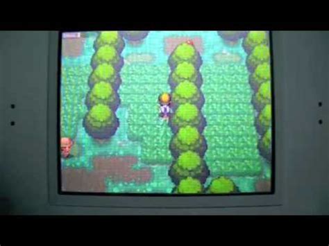 Pokemon Heart Gold Kanto Walkthrough Part 15 Viridian Forest Mayhem