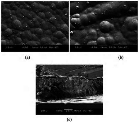 Sem Micrograph Of Ni P W Coating A As Deposited B Heat Treated And