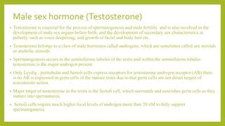 Molecular Mechanism Of Sex Hormone Action PPT