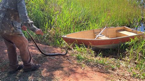 Na Pesca Esperava Peixes Mais Derepente Vem Uma Cobra Venenosa E Muito