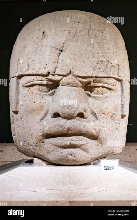 Colossal Olmec Stone Head On Display At The Museum Of Anthropology In