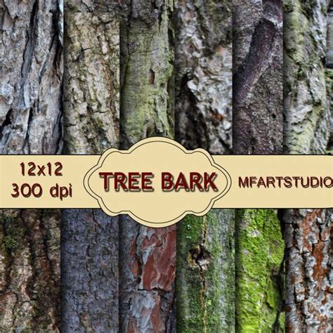 Tree Bark Digital Paper Pack Instant Download Tree Etsy Digital Paper Digital Paper Pack