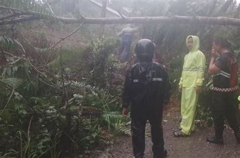 Akses Jalan Di Nias Selatan Tertutup Longsor 100 Meter Aktivitas Warga