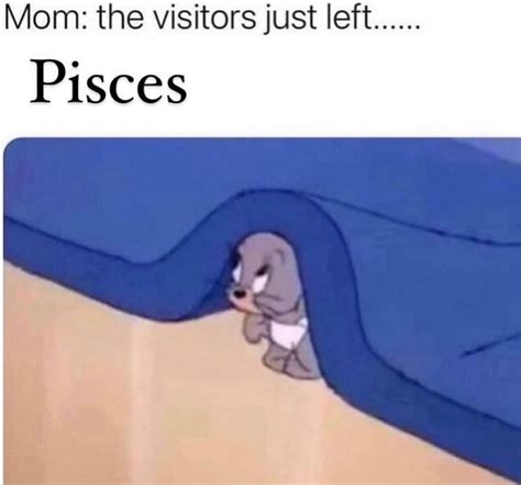 52 Best Pisces Memes That Describe This Zodiac Sign Artofit