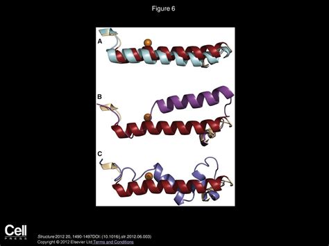 Crystal Structure Of Lipoxygenase Catalytic Domain Inhibitor Complex