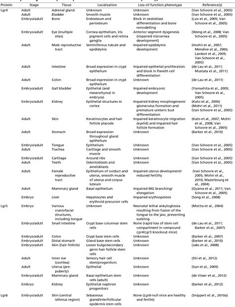 Table From Lgr Proteins In Epithelial Stem Cell Biology Semantic