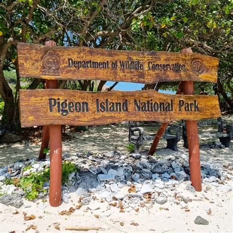 Pigeon Island National Park Super Place For Snorkeling