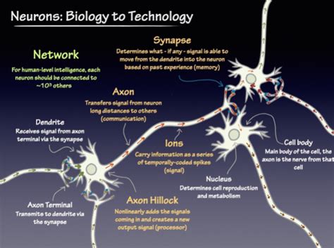 The Basics Of Neuromorphic Electronics Electronic Products