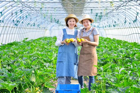 农业农村部印发重磅指导意见：到2025年建设1000家国家级生态农场 知乎