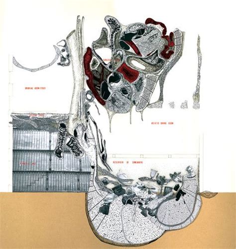 2009 Field Operations — Smout Allen Smout Allen Architecture Drawing