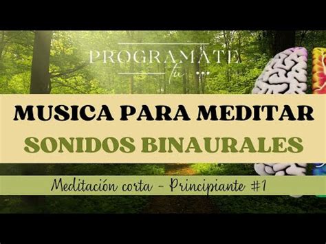 Meditaci N Principiantes Ondas Binaurales Youtube