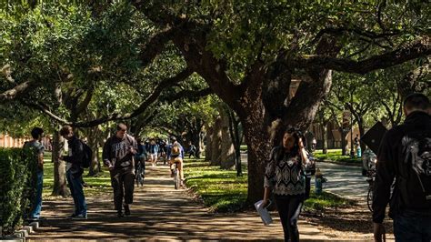 Social Sciences undergraduate majors see rise in rankings | Department ...