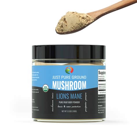 Organic Lion's mane Mushroom Ground Powder Wholesale - QIN SHAN TANG