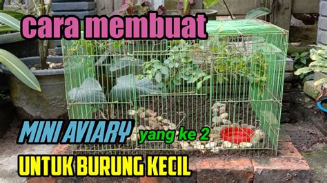 Cara Membuat Mini Aviary Untuk Burung Kecil Aba Awan YouTube