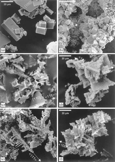 Sem Photomicrographs Showing Nacl Crystals A Forms In The