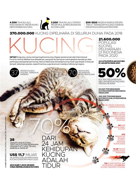 Hari Kucing Sedunia Ini Angkanya Angka Majalah Tempo Co