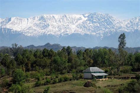 Dharamshala Syptrips Tour Travels