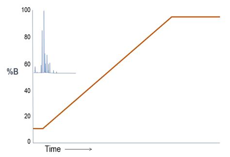 High Performance Liquid Chromatography Hplc Basics