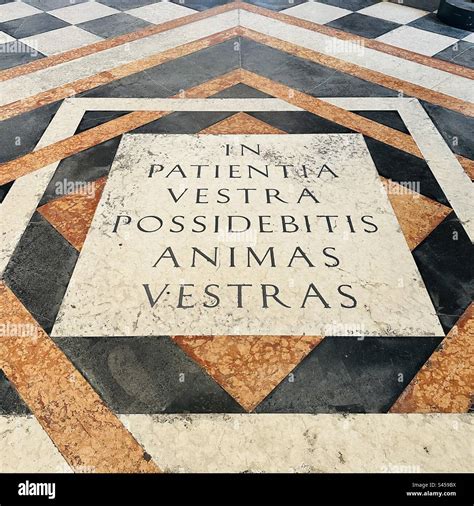 Vestras hi-res stock photography and images - Alamy