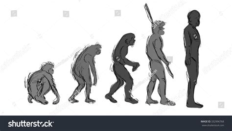 Evolution Human Species Homo Sapiens Stock Vector 332996768 - Shutterstock