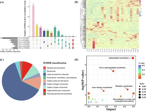 Identification Of Differential Metabolites Dms Of Liver Tissues In