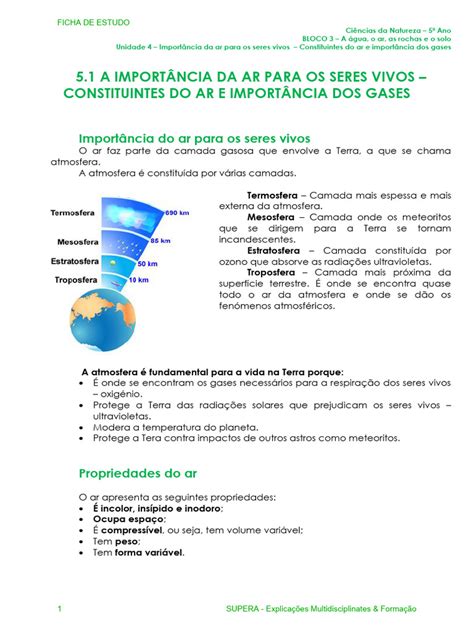 Qual A Importância Do Ar Para Os Seres Vivos - Importância do Ar para os Seres Vivos | PDF | Combustão | Atmosfera