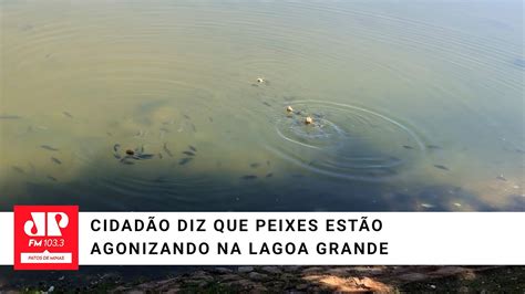 Cidadão denuncia a morte de peixes na Lagoa Grande YouTube