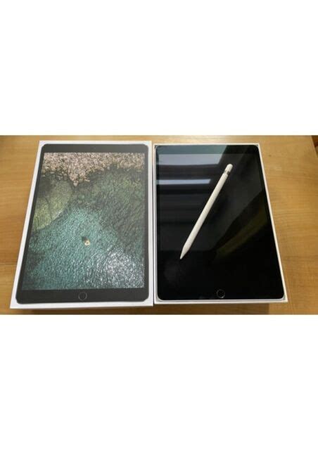 Apple Ipad Pro 1 Gen 256gb Wi Fi 4g Non De 105 Zoll Space