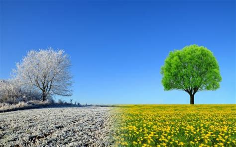 Vine frigul în România Prognoza meteo în Transilvania perioada 9 22