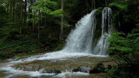 Waterfall Stock Video Footage For Free Download