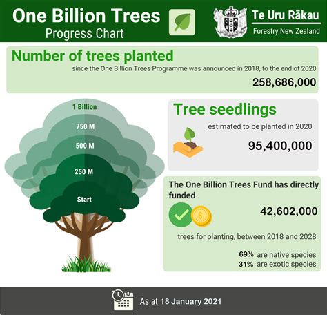 Tracking Planting For The One Billion Trees Programme Mpi Nz Government