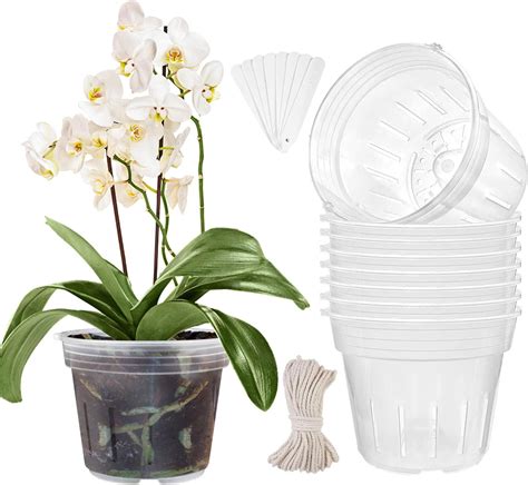 Amazon Ysditrk Orchid Pot 8 Pack 6 7 Inch Clear Orchid Pots With