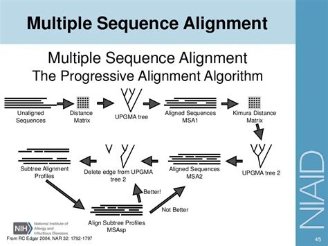 BLAST and sequence alignment