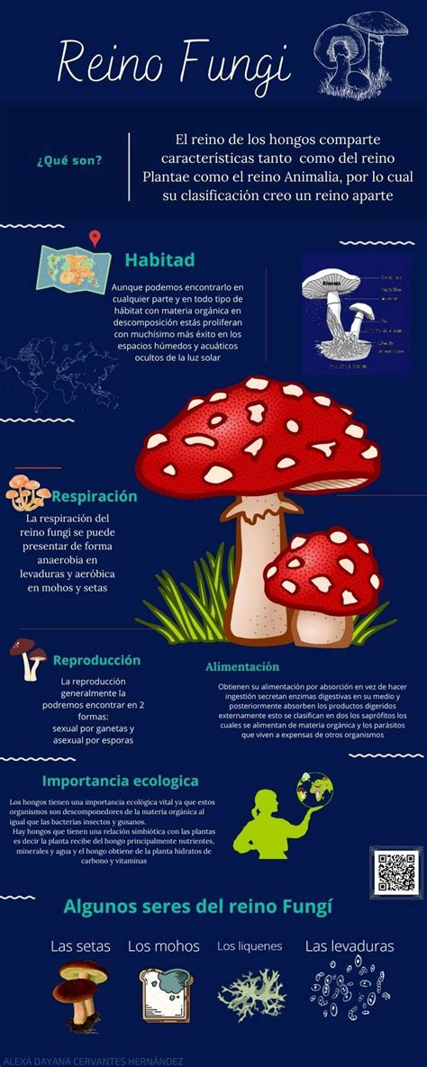 Reino FungÍ Reino De Los Hongos Reinos Biologicos Reino Fungi