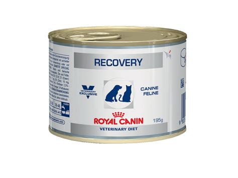 Royal Canin Recovery купить в Бресте