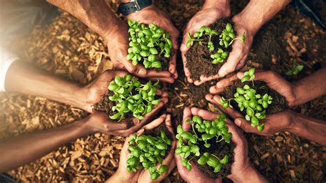 Green Thumbs How To Make Your Garden As Eco Friendly As Possible