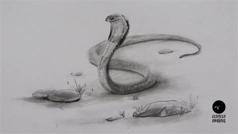 How To Draw A Snake: Pencil Sketch Snake Drawing | Snake drawing, Sketches, Drawings